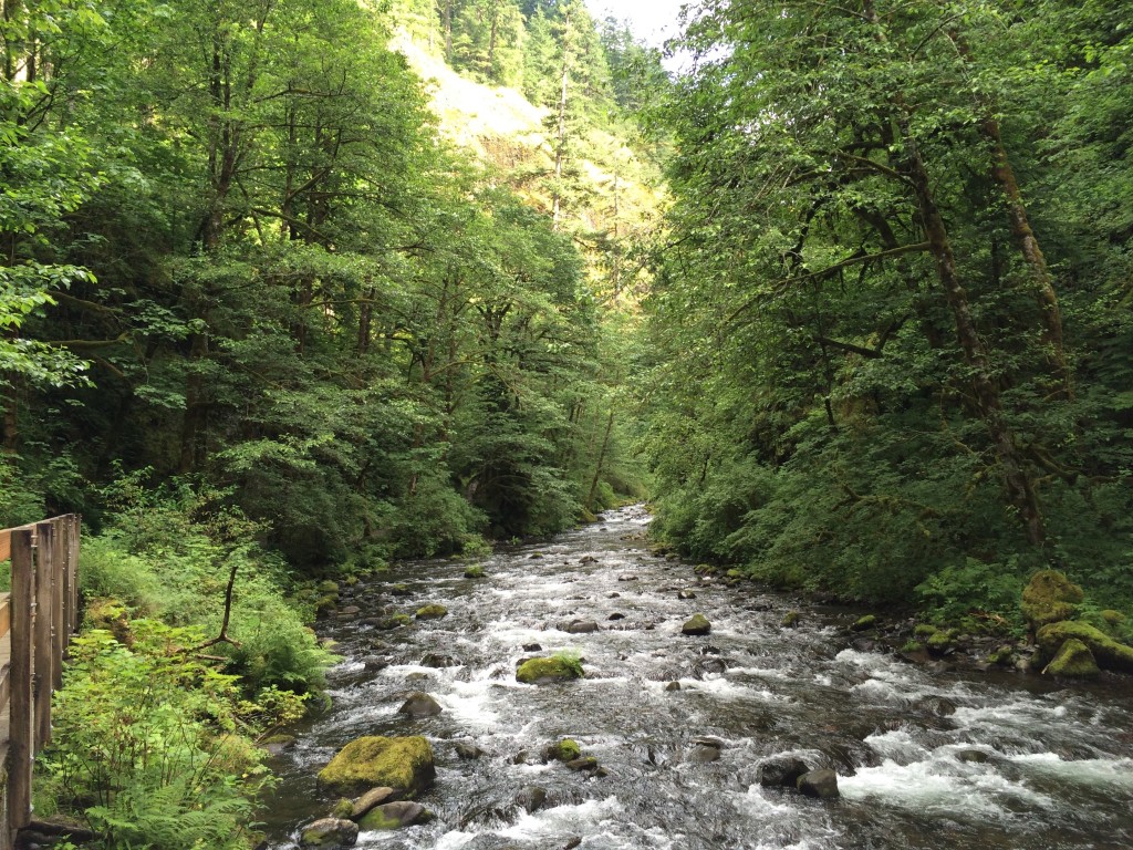 Mountain Biking Trail